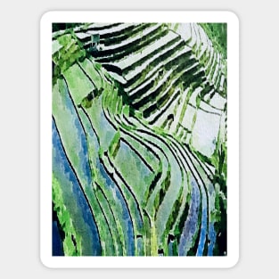 rice field Terrace Sticker